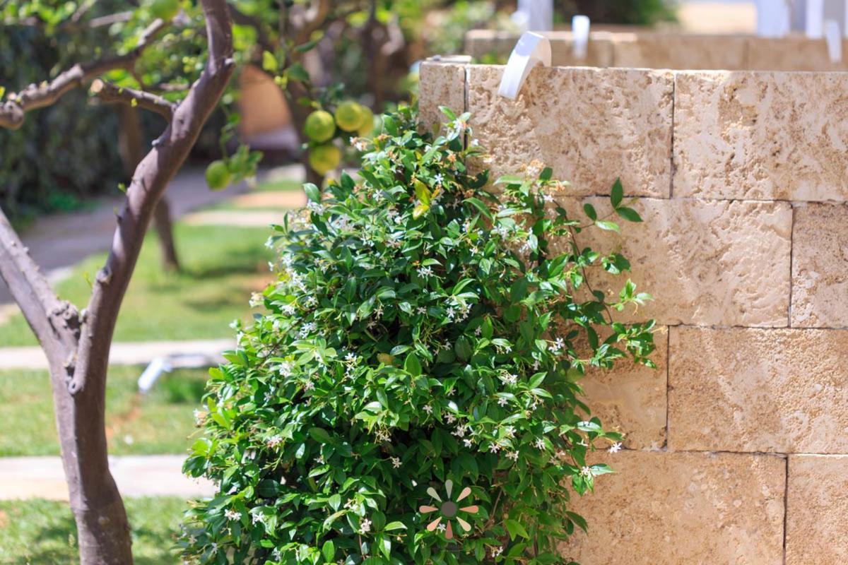 Agriturismo Tenuta Margherita トッレ・ラピッロ エクステリア 写真