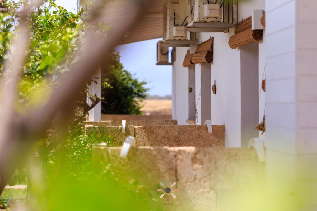 Agriturismo Tenuta Margherita トッレ・ラピッロ エクステリア 写真