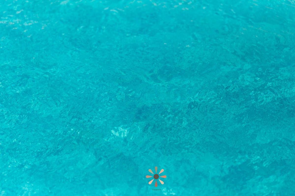 Agriturismo Tenuta Margherita トッレ・ラピッロ エクステリア 写真