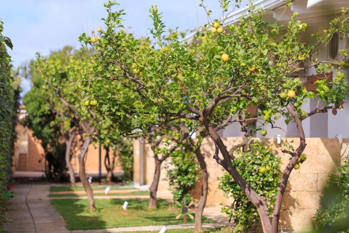 Agriturismo Tenuta Margherita トッレ・ラピッロ エクステリア 写真
